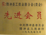 1999年被被授予“先進(jìn)會員”