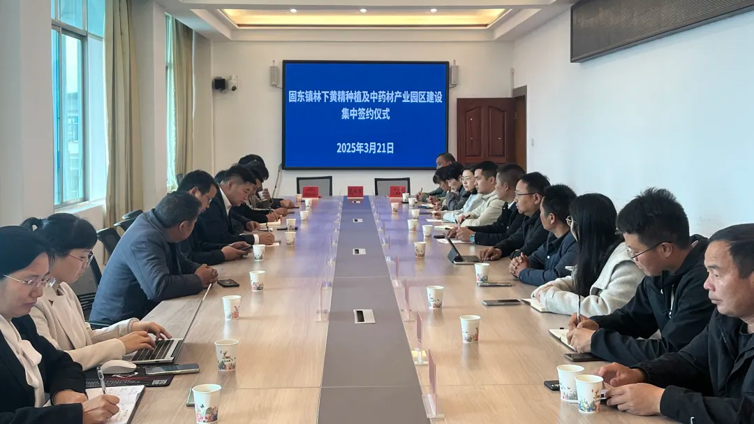政企攜手繪藍圖 林下經(jīng)濟助振興